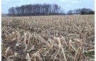 Property photo 65 - 98+/- Acres Offered in 6 Tracts or Combinations, Noble County, Indiana Farm